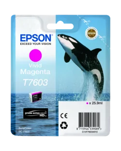 Epson T7603 (C13T76034010)