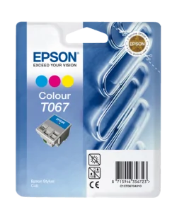 Epson T067 (C13T06704010)