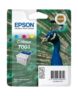 Epson T001 (C13T00101110)