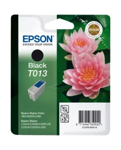 Epson T013 (C13T01340110)