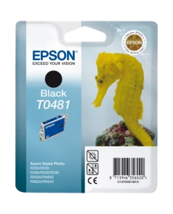 Epson T0481 (C13T04814010)