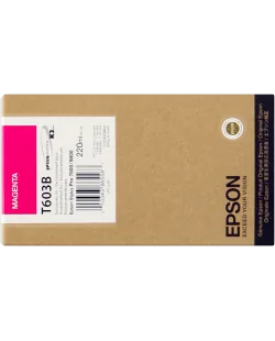 Epson T603B (C13T603B00)