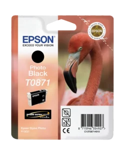 Epson T0871 (C13T08714010)