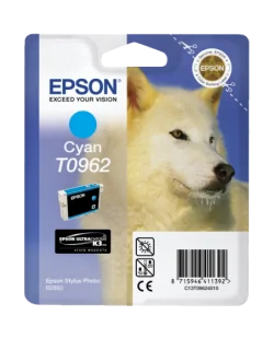 Epson T0962 (C13T09624010)