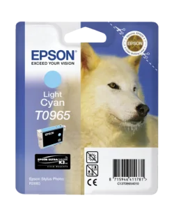 Epson T0965 (C13T09654010)