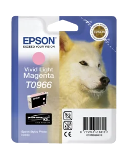 Epson T0966 (C13T09664010)