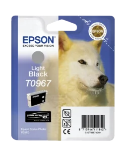 Epson T0967 (C13T09674010)