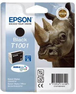 Epson T1001 (C13T10014010)