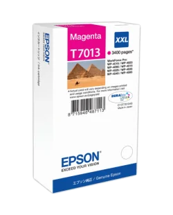 Epson T7013 (C13T70134010)