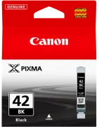 Pixma Pro100